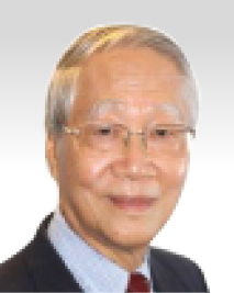 Professorial Fellow and Academic Advisor, East Asian Institute (EAI),